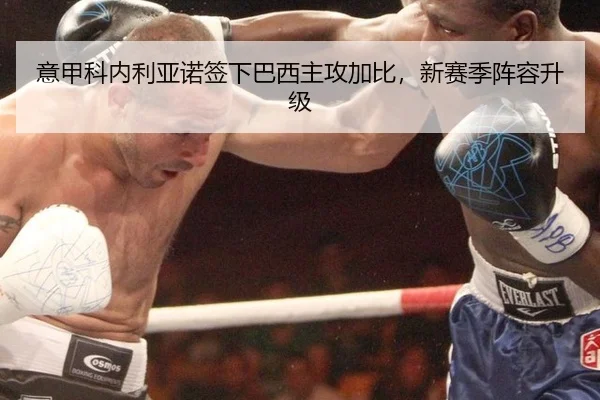 意甲科内利亚诺签下巴西主攻加比，新赛季阵容升级